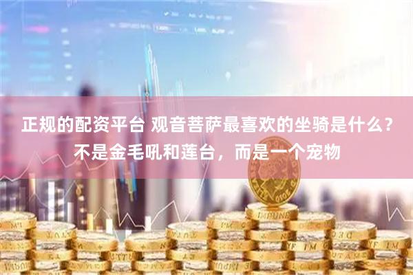 正规的配资平台 观音菩萨最喜欢的坐骑是什么？不是金毛吼和莲台，而是一个宠物